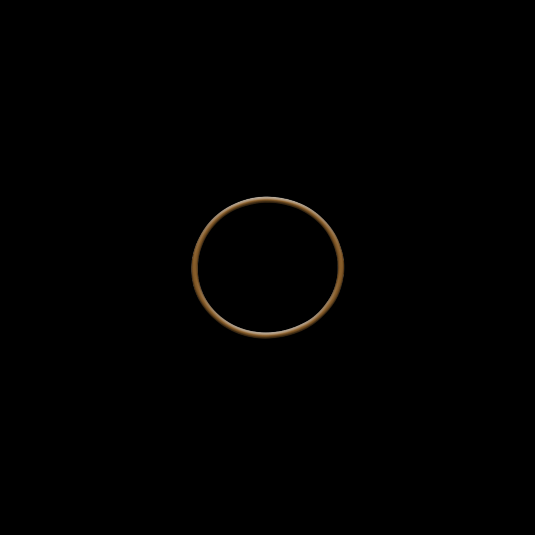 VIBRANT ORING 12548R