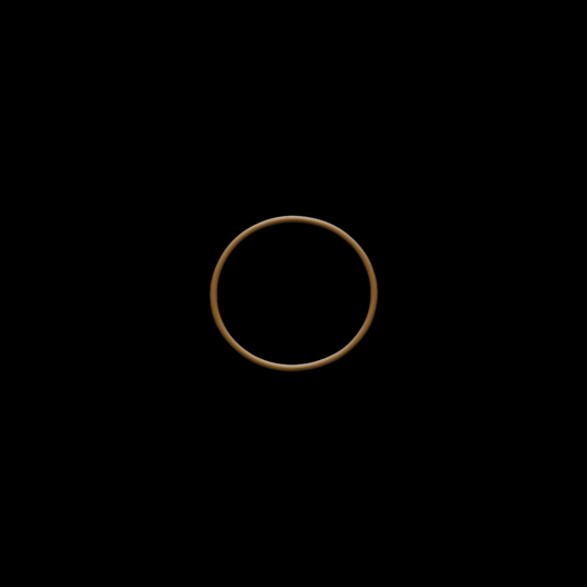 VIBRANT ORING 12548R
