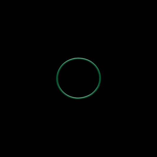 VIBRANT REPLACEMENT O RING 12576G