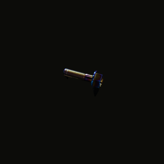 TITANIUM SCREW TM- M8X1.25-30- B