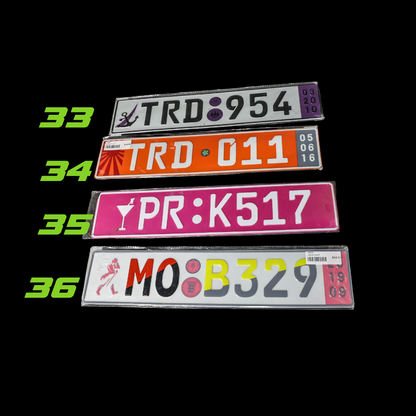 VEHICLE LICENSE LONG FACEPLATE