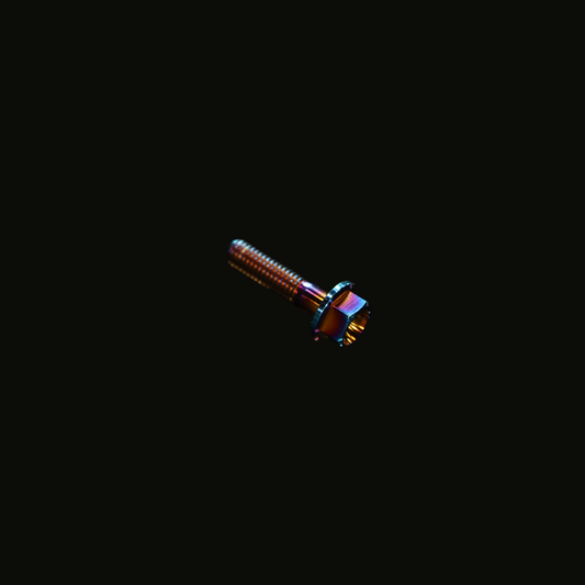TITANIUM SCREW | TM-M6x1.0 -25 - B